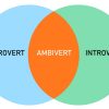 extrovert-introvert-ambivert copy