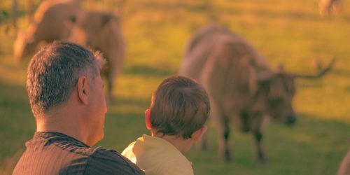 pexels-sara-ma-3355687-5092396