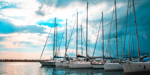 pexels-dana-tentis-445363